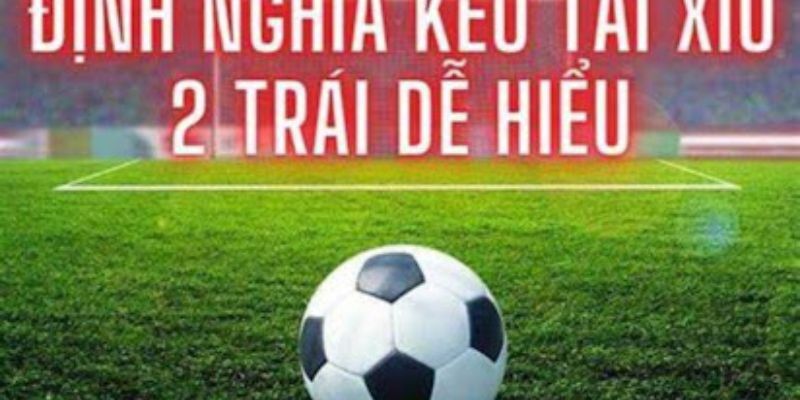 Khái niệm về tài xỉu 2 trái