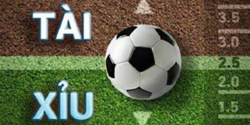 Tài Xỉu 2 Trái - Hướng Dẫn Cách Chơi Và Mẹo Đọc Kèo Chuẩn